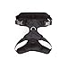 EveryYay by Petco Full Dog Harness Black X-Large/XX-Large