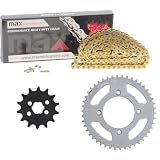 Max Motosports Gold XR80R/CRF80F