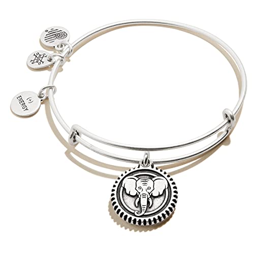 Alex and Ani Product Details