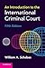 An Introduction to the International Criminal Court