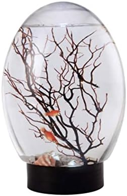 Ecosphere Fish Tank, Closed Aquatic Ecosystem Desktop Aquarium with LED Revolving Black Base