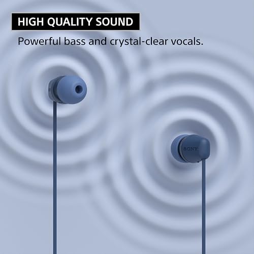 ソニー IER-EX15C USB-C プラグ 有線 インイヤーヘッドホン iPhone Android 携帯電話用 内蔵多機能ボタン ボリューム マイクコントロール USBオーディオクラス1.0デバイス対応 ブラック