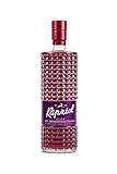 Kapriol Sloe Gin (50cl)