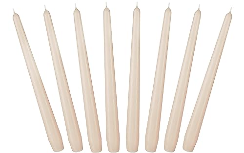 BRUBAKER 24 cm Spitzkerzen für Kerzenständer und Kerzenhalter - 8...