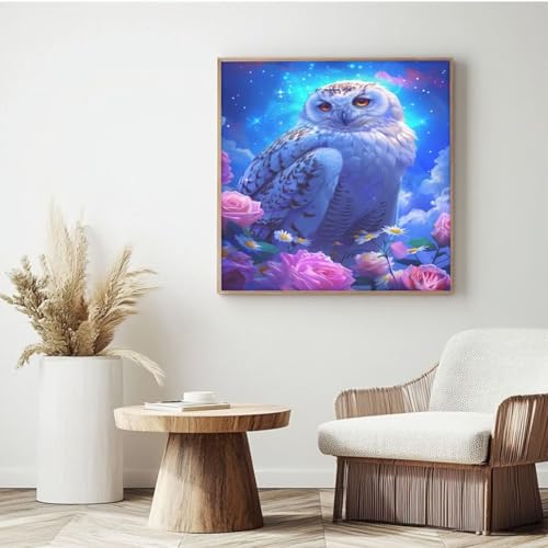 Dream - Kit de pintura por números para adultos, pintura por números, búho, acrílico por números para adultos/principiantes, pinturas al óleo para decoración de pared del hogar (20 x 20 cm, con marco