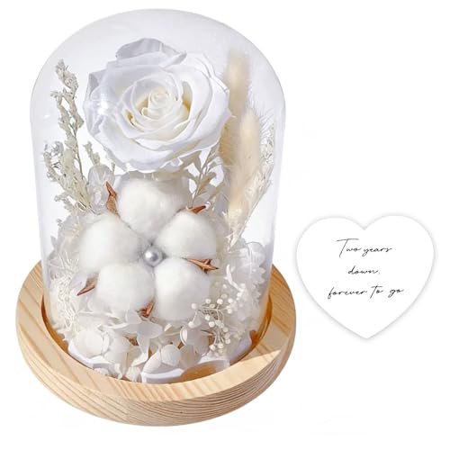 Rimvoe Cotton 2nd Anniversary Keepsake for Her Him, Cotton and Preserved Flowers in Glass Dome, with...