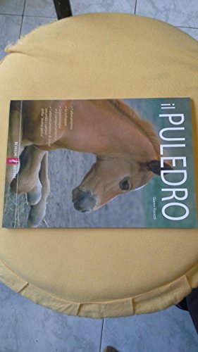  Il puledro
