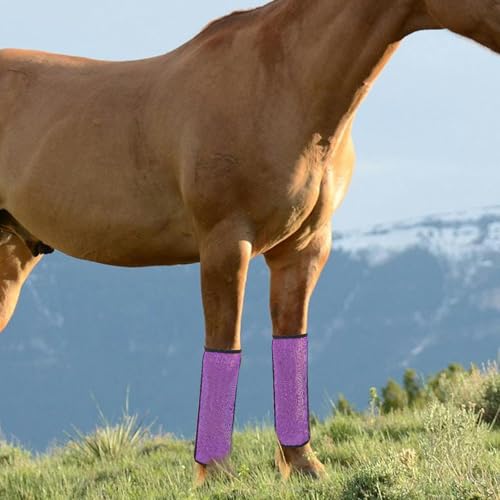 Botas de malla CRAFTHROU moradas con 4 barras de soporte para patas de caballo 7