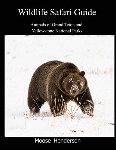 Wildlife Safari Guide: Animals of Grand Teton and Yellowstone National Parks (English Edition)