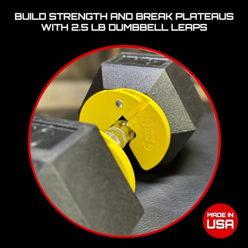 Image of Micro Gainz 1.25LB Dumbbell Fractional Weight Plates, 4-Piece