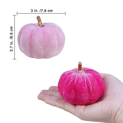 Image of Winlyn 12 Pcs Assorted Small Artificial Pink Velvet Pumpkins Decorative Fabric Foam Pumpkins 3 inch for Fall Wedding Baby Shower Halloween Thanksgiving Table Centerpiece Mantel Farmhouse Decor