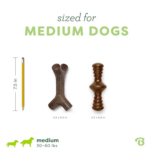 Image of Benebone 2-Pack Maplestick /Zaggler Durable Dog Chew Toys, Real Maplewood, Real Bacon, Made in USA Medium