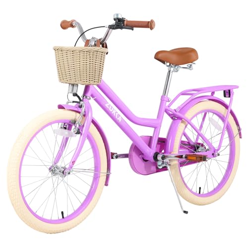 MEGHNA Cruiser Bike with Basket