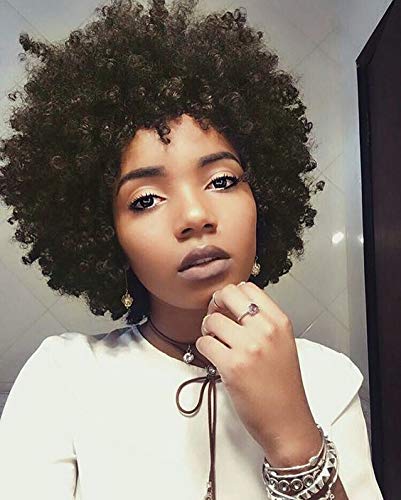 AISI HAIR Curly Wig Short Afro Kinkys Curly Hair Wig Natural Black Short Curly Wig African American Wigs Curly Afro Wig for Black Women