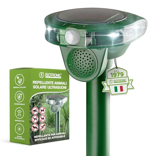 Cane Spaventa Un Micio, Ma Mamma Gatta Non Ci Sta - Foto 7