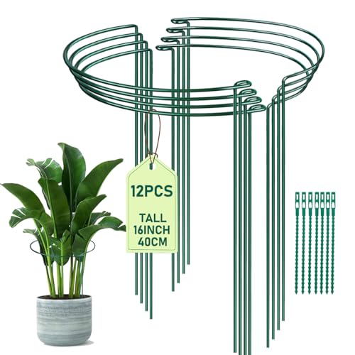 Cfythyab 12 Pack Metal Plant Supports 25 x 40cm Half Ring Frame Stakes for Outdoor Plants, Garden Plant Supports for Roses Tomatoes Peonies Hydrangeas, Plant Cages & Supports for Garden
