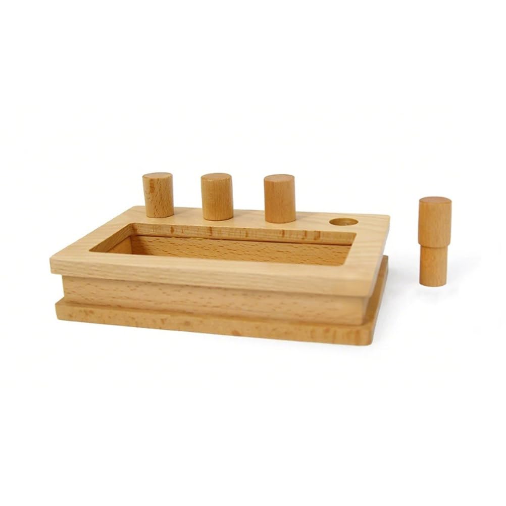 Montessori Brett- und Box-Einsetzspiel, Feinmotorik- und Hand-Auge-Koordination Spielzeug für Kleinkinder ab 12 Monaten