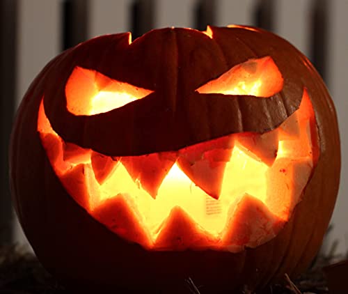 "The Cask Of Amontillado" Short Story By Edgar Allan Poe. Danica Raven&rsquo;s BiteSize Horror