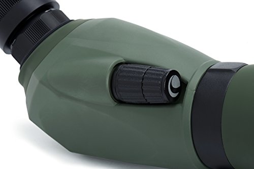 41vE2pF19FL Celestron Regal M2 65ED Spotting Scope – ED Glass for Hunting, Birding and Outdoor Actvities – Phase and Dielectric Coated BaK-4 Prism – Fully Multi-Coated Optics – Dual Focus – 16-48x Zoom Eyepiece - Image 5