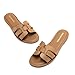 DREAM PAIRS Women's Dressy Slide Sandals Slip-on Comfortable Slides Fashion Casual Open Toe Summer Beach Sandals,Size 8.5,Brown-Raffia,DWUMSS2509