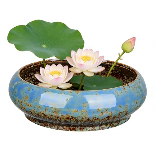 GANAZONO Maceta grande para jardín, maceta de agua, nenúfares, macetas hidropónicas, macetas para bonsái, soporte decorativo para cactus, contenedor de flores, cuenco de narcisos (color al azar)