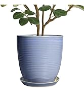 Amazon.com : EPFamily 18 Inch Ceramic Bonsai Planter Pot with