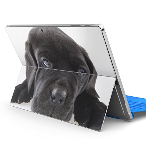 igsticker Surface pro7 (2019) pro6 pro2017 pro4 ��p �X�L���V�[�� �T�[�t�F�X �m�[�g�u�b�N �m�[�g�p�\�R�� �J�o�[ �P�[�X �t�B���� �X�e�b�J�[ �A�N�Z�T���[ �ی� 000127 �A�j�}�� �� �� �t�����`