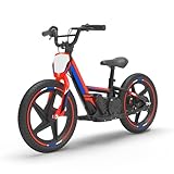 TUIBOKA Lightweight Electric Dirt Bike for Kids, 340W Racing Electric Motorcycle, 24V Detachable Battery, Brushless Motor, Safe 3 Speed Modes, Mini Motocross Bike 16