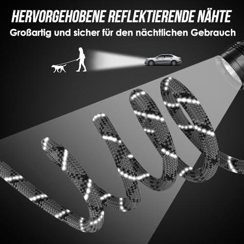 Eyein Hundeleine 3m für Kleine mittelgroße Hunde, 8in1 Schleppleine mit 3 Verstellbare Schnalle und Griffen, Reflektierende Doppelleine für 2 Hunde - Unter 100KG, Verdickte Freihandleinen, Hellgrau