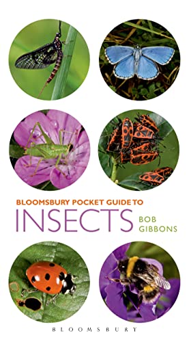 Pocket Guide to Insects view 2