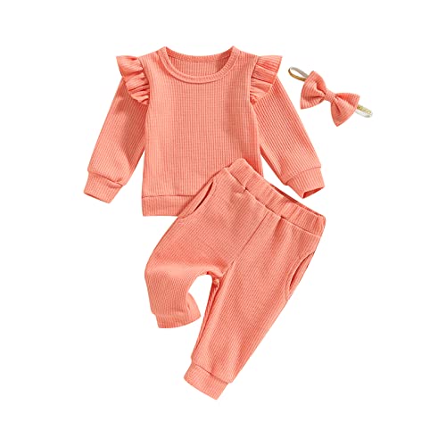 ITFABS Toddler Baby Girl Fall Winter Clothes Newborn Infant Floral Pullover Sweatshirt T-Shirts+Pants 3PCS Outfits Set(AOrange,0-6 months)