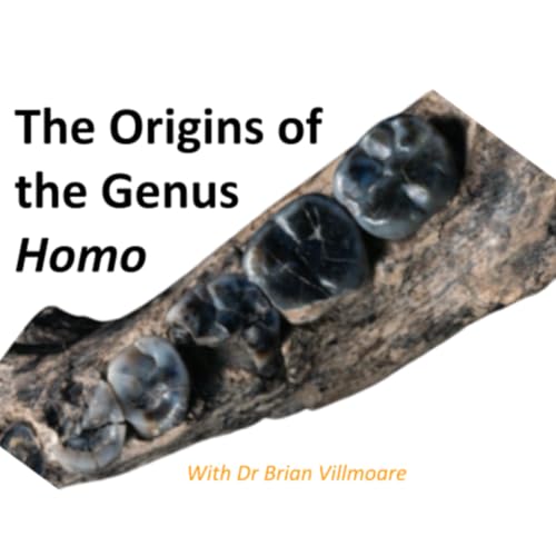 Origins of the Genus Homo &ndash; Brian Villmoare