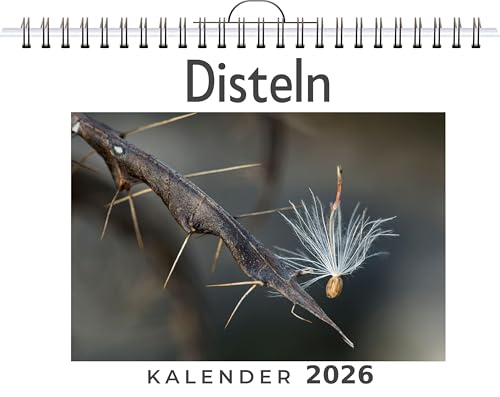 Disteln: (Wandkalender 2026, Kalender DIN A4 quer, Monatskalender im Querformat mit Kalendarium, das perfekte Geschenk)