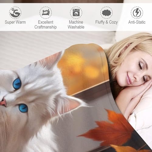 Couverture lit chat mignon plaid décoration intérieure flannel doux