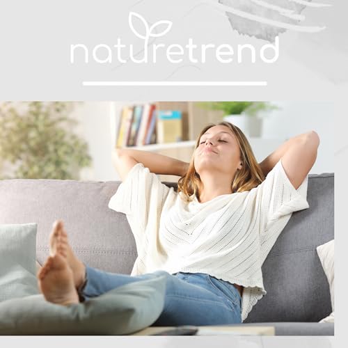 naturetrend Holzwurm Stop 500ml – Abwehrspray gegen Holzwürmer in Möbeln & Holz für innen & außen, Holzwurm Spray - Effektives Holzwurmmittel & Holzwurmschutz