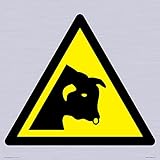 Viking Signs