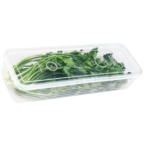 Psdndeww Servido PP Materials Seal Contenedor Almacenamiento Alimentos Cocinas Para Hogar Organizadores Para Organizar Cebolletas Gingers Ajo