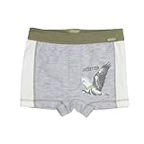 Kanz Jungen Shorts Boxershorts, Mehrfarbig (8100), 140