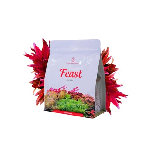  \C h{\C APT FEAST 2L 5L ANAE h{ 엿 p y THE 2HR AQUARIST z ANAE   グp 2HR 엿 Mы (2L)