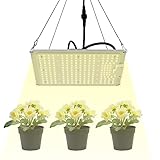 【Alta sicurezza】 Questo prodotto è dotato di una scheda luminosa a LED impermeabile IP65, che può gestire in modo sicuro l'umidità nella tenda. E il prodotto pesa solo 7,72 libbre, quindi non devi preoccuparti della sicurezza della sospensione.
