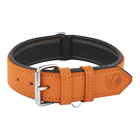 Riparo Genuine Leather Padded Dog Heavy Duty K-9 Adjustable Collar (L: 3.8CM Wide for 45.7CM - 53.3CM Neck, Orange) Cover