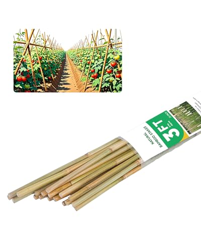3ft Natural Bamboo Plant Stakes for Tomatoes, Beans, Flowers, Potted, Climbing Plants 25pcs