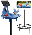 LongPlus Solar Powered Bird Bath Fountain with 2K Camera, Color Night Vision & AI Bird Identification, Outdoor Birdbath with Camera – Gift for Nature Lovers, Parents & Friends