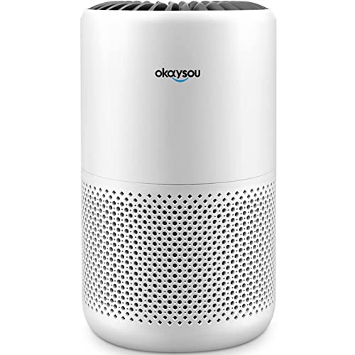 Top 10 Best Okaysou Air Purifier Top Picks 2023 Reviews