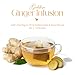 50 PACK Ginger-Turmeric Tea Bags – Individual Wrapped Tea Bags – All Natural Herbal Tea | Caffeine Free | No Preservatives, No Sugar – Great For All Seasons