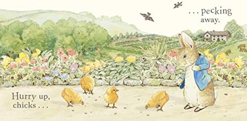 my first easter peter rabbit