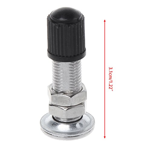 Image of BIBABLYKE 2 pcs 31mm Bicycle Schrader for Valve Ultralight Zinc Alloy MTB Mountain Road Bi as Shown Zinc Alloy