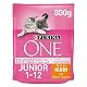 Purina One Junior