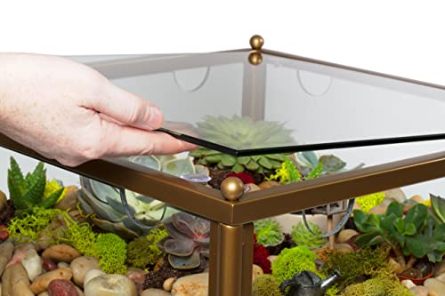 Square Terrarium Display End Table With Reinforced Glass In Gold Iron- 18" L X 18" W X 27" H- Great Indoor Decor For Home Or Office- Diy Garden For Fern Moss Succulents- Holiday Wedding Gift… #TOP3