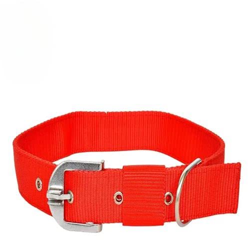 DRK Shopmart Durable and Non Toxic Nylon Collar Belt with Heavy Duty Adjustable Hook Neck Collar Belt Ideal for Outdoor Walking Dogs and Puppies (Red) (B0C4B5L5FQ) Amazon Price History, Amazon Price Tracker